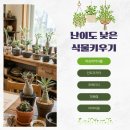 헤이리로(헤이리1번게이트) | 아프리카식물 분갈이 | 헤이리마을 무계획수집공간 재방문