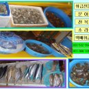 대진수산 Daum카페