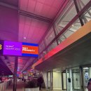 621 | 뉴욕-칸쿤 DELTA DL621 탑승후기💺