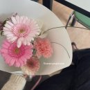 예스플리즈 이미지