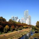 도곡2동 주민센터 이미지