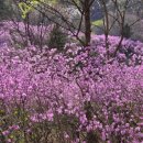 부천 종합운동장역(2번 출구) 이미지