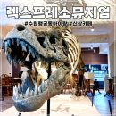 수원 행궁동 렉스프레소뮤지엄 방문후기