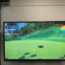 포섬 | 타워팰리스 반트스크린에서 프로와 포섬 스크린 레슨