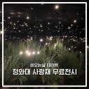 보레스트 | 비오는날 데이트 청와대 사랑채 연화 무료전시 후기