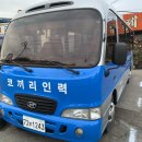 코끼리인력공사 이미지