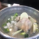 오늘도닭한마리 이미지