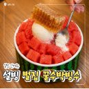 (주)벌집 | 설빙 벌집꿀수박빙수와 메론빙수 출시, 가격정보 포함