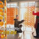 진상농원 네이버블로그