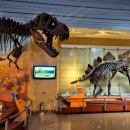 서대문자연사박물관 이미지