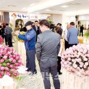 김해시청 대회의실 이미지