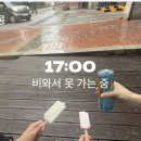 삔언니 네이버블로그