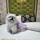 모텔 하이얀 이미지