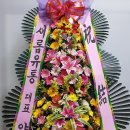 새롬유통 이미지