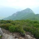 가지산 - 중구 | 가지산
