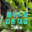 엄지공주 네이버블로그