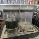 제틀리시(zartlich) 이미지