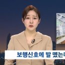 신호위반 관광버스가 횡단보도 건너려던 중학생 치여 사망......... jpg 이미지