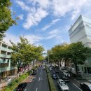 (5/21 오전반) 플라워 힐링 클래스 | 도쿄 오모테산도 | 아오야마·캣스트리트·하라주쿠, 걷고 또 걷고