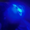 비엘짐 | 두정동 피부샵 비엘뷰티에서 받은 복부 내장기 순환기 테라피 후기✨ (천안 왁싱·천안 피부관리 추천)