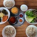 향토보리밥집 | [평택고덕맛집 송탄맛집 평택맛집] 향토보리밥