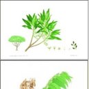 화명수목원관리사업소 이미지