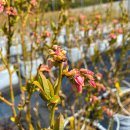 돈필농장 이미지