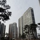 해오름1 네이버블로그