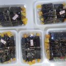홍쌤꼬마김밥 이미지