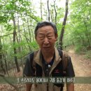 김영근 회원 대구 MBC 시시각각 생방송 출현 이미지