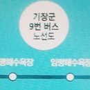 (주)대명버스라인