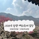 에넥스전주전시판매장 | 2026년 광양매화축제 미리 다녀온 후기, 하동에서 25분, 매화 개화 상황과 현장분위기 주차 꿀팁까지!