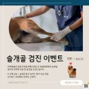 동물진료법인 포레스트 이미지