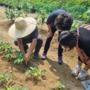 구리시장애인종합복지관 이미지