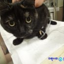 다나한방병원 이미지