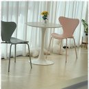 강아지미용실_편안 이미지