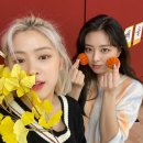 신자매
