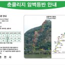 인어루트 이미지