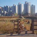 현동근린공원 이미지