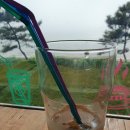 우정테크 | 콩깍지 우정여행.제부도소풍.260528(음0412)