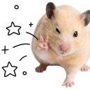 비룡 앞 화장실 이미지