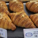 꼼아파리 이미지