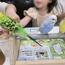 롯데마트 중계점 이미지