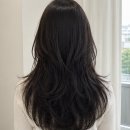 선미헤어라인 | 유지력 좋은 부원장 선미 레이어드컷 / 대구 레이어드컷 전문 아보브헤어 동대구점