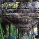 김해중학교 이미지