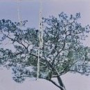 용산문화원정자 이미지