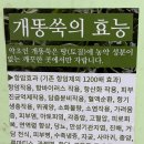 효소사랑 | 미금 쑥이사랑 효소찜질 내돈내산 후기 (수족냉증, 임신준비)