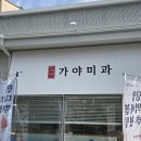 가야미과 이미지