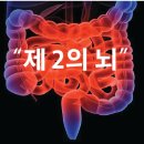 가자크린팜대학약국 이미지