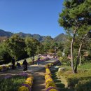 임실 치즈축제겸 붕어섬 출렁다리 후기 이미지